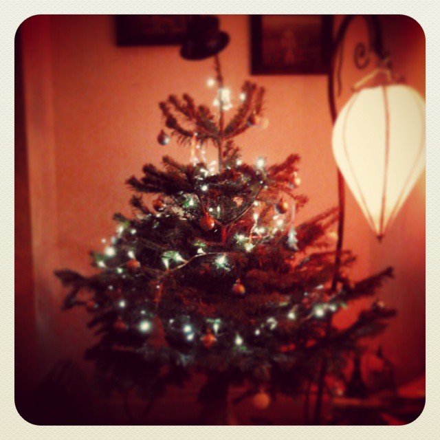 Small Christmas tree with red light